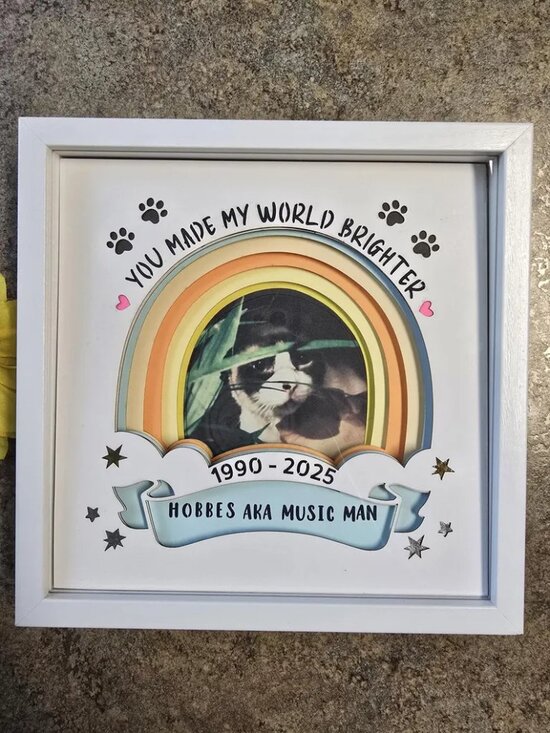 💖 Handmade With Love 💖 Other - Custom Handmade Pet Memorial Shadow Box